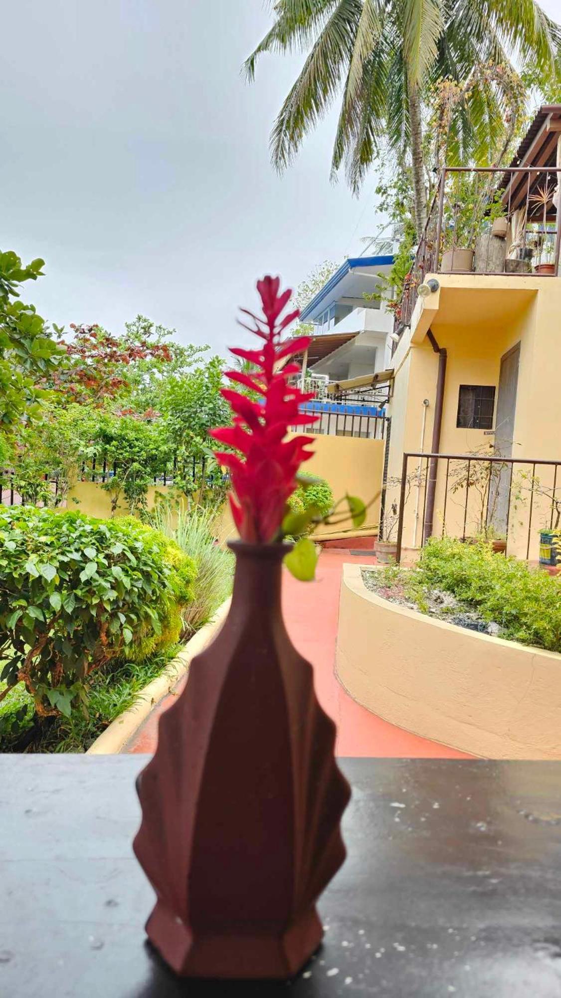 Eagles Nest Beach Resort 达沃 外观 照片