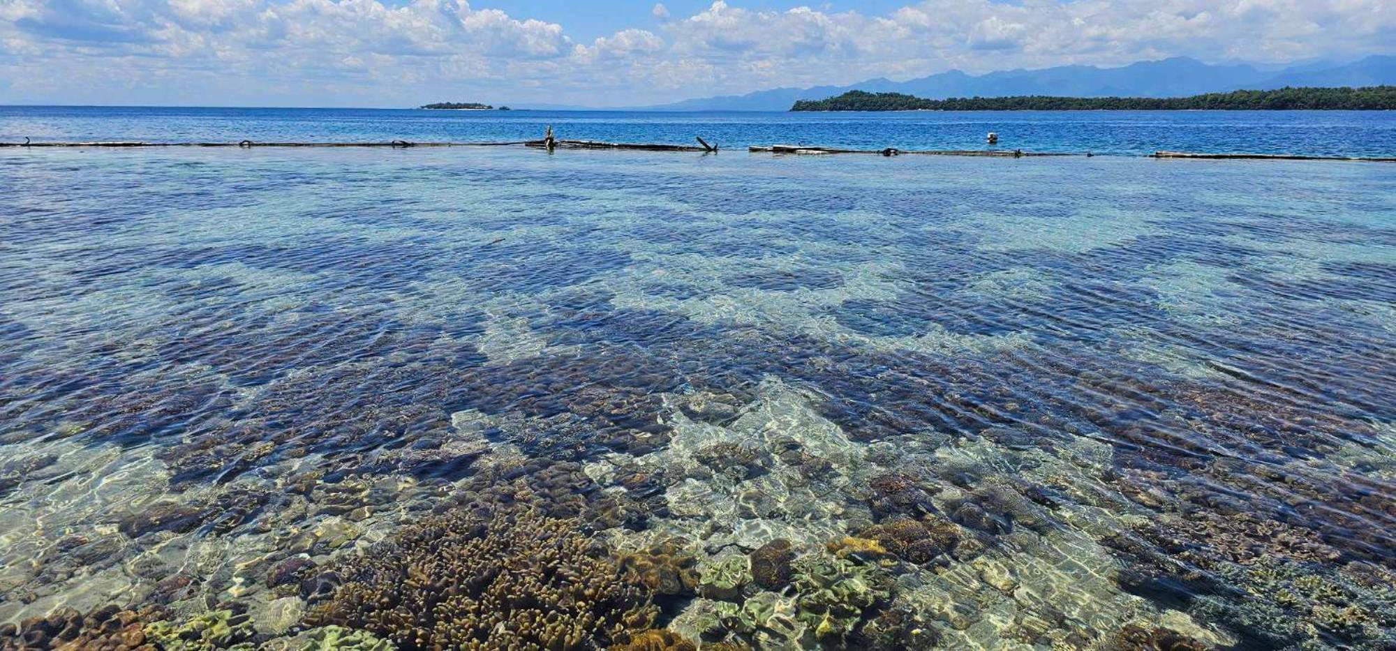 Eagles Nest Beach Resort 达沃 外观 照片