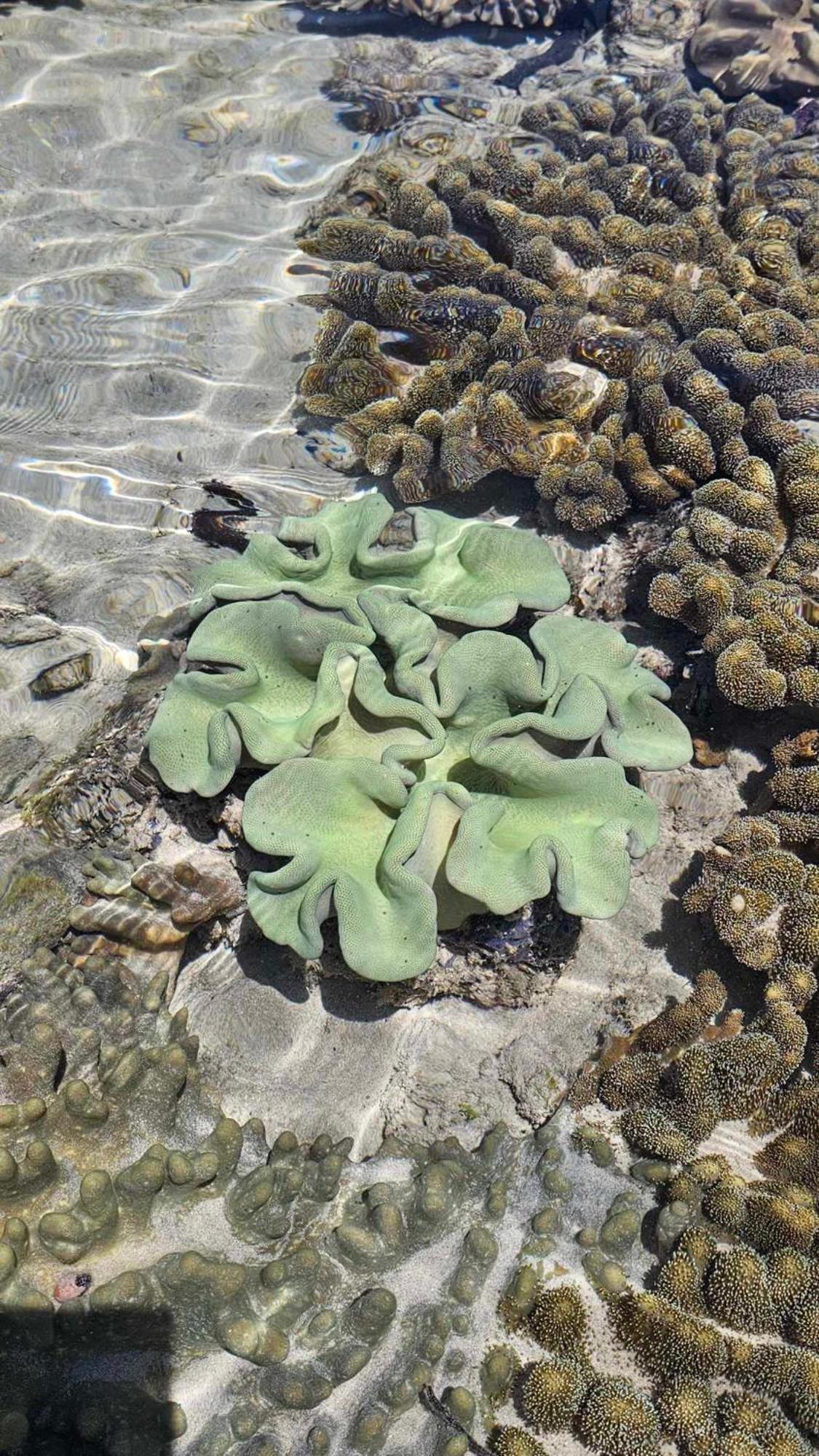 Eagles Nest Beach Resort 达沃 外观 照片